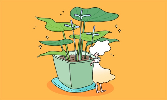 避开千军万马独木桥：嵊州越剧艺术学校如何帮你弯道超车